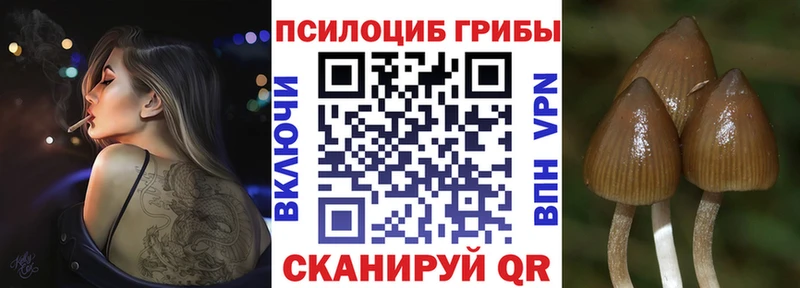 ссылка на мегу зеркало  Чебаркуль  Галлюциногенные грибы Cubensis 