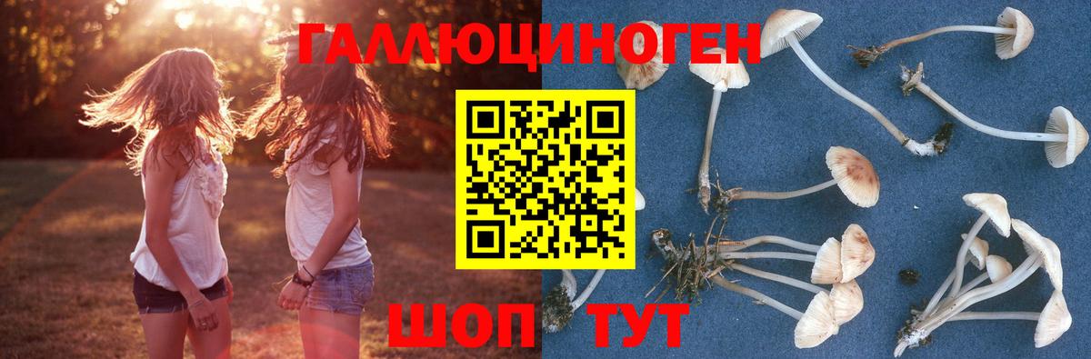 Псилоцибиновые грибы MAGIC MUSHROOMS  Вход с VPN  Чебаркуль  Галлюциногенные грибы прущие грибы 